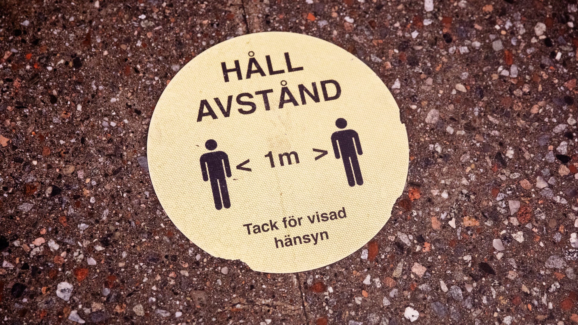 Fler än hälften av de nya orden har med coronapandemin att göra.