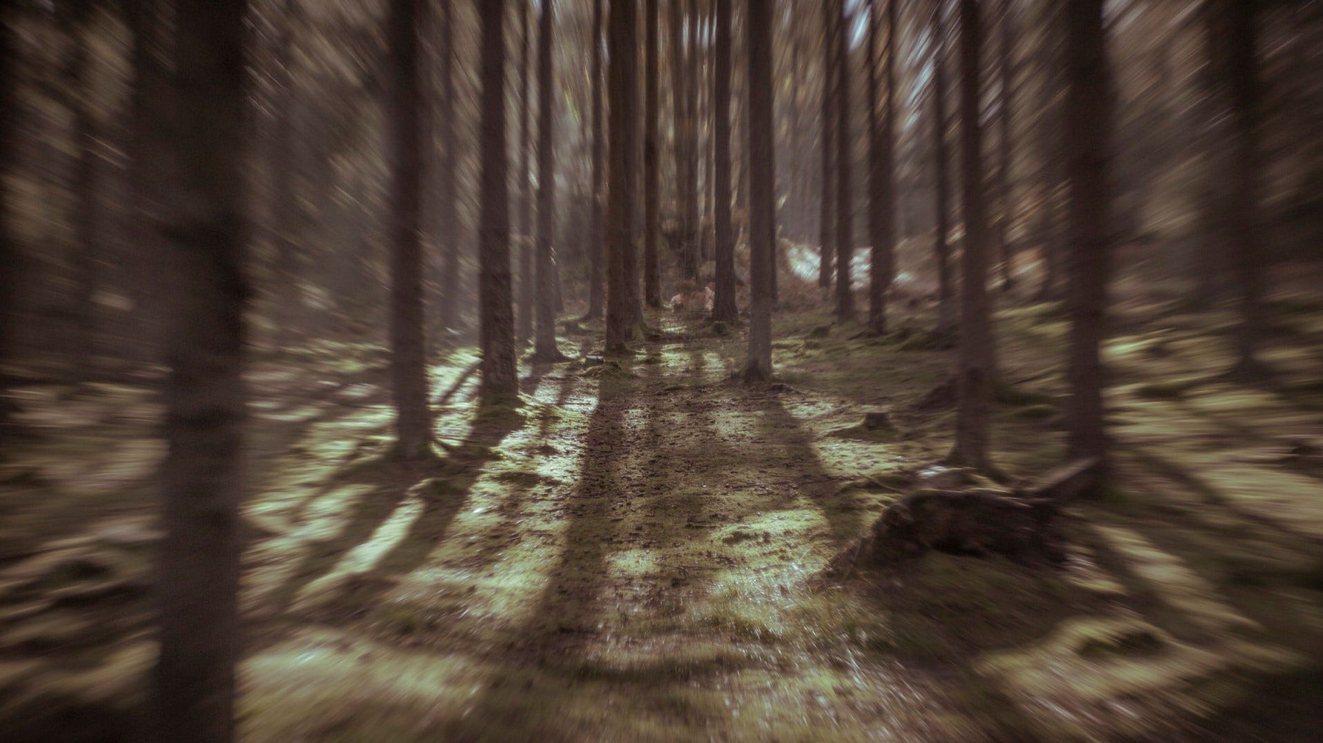 Håkan Sköld medger i förhör att han har varit ute i skogen där han bor och genomfört provsprängningar.