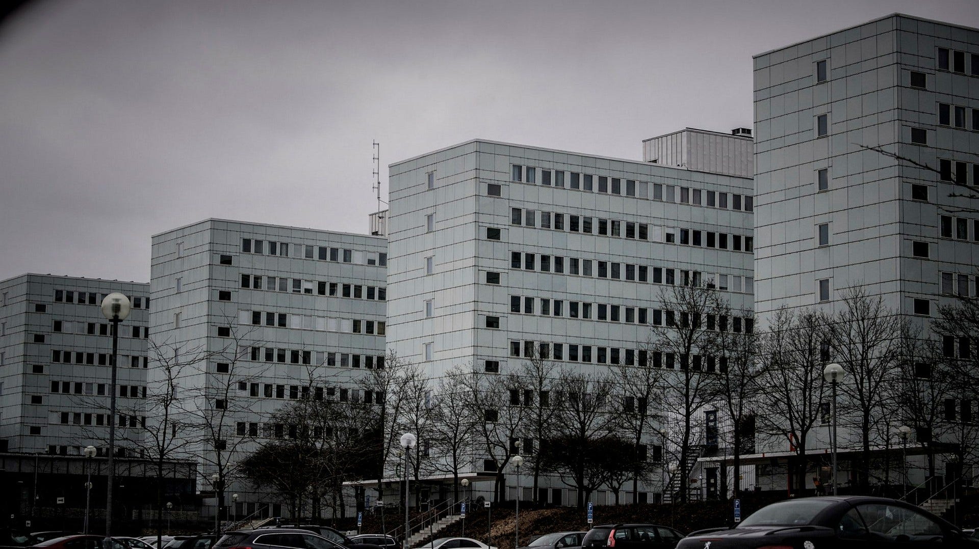 212 miljö- och klimatforskare vid olika svenska lärosäten, bland annat Stockholms universitet, har svarat på DN:s enkät.