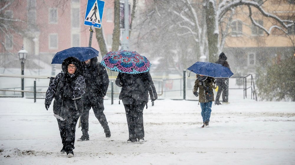 Bakslaget: SMHI varnar för kraftigt snöfall i veckan
