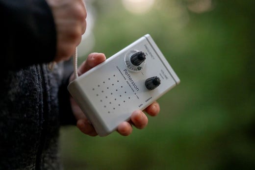 Med en handhållen detektor kan man, om man har rätt frekvensomfång inställt, få höra fladdermössen i form av pluppande ljud.
