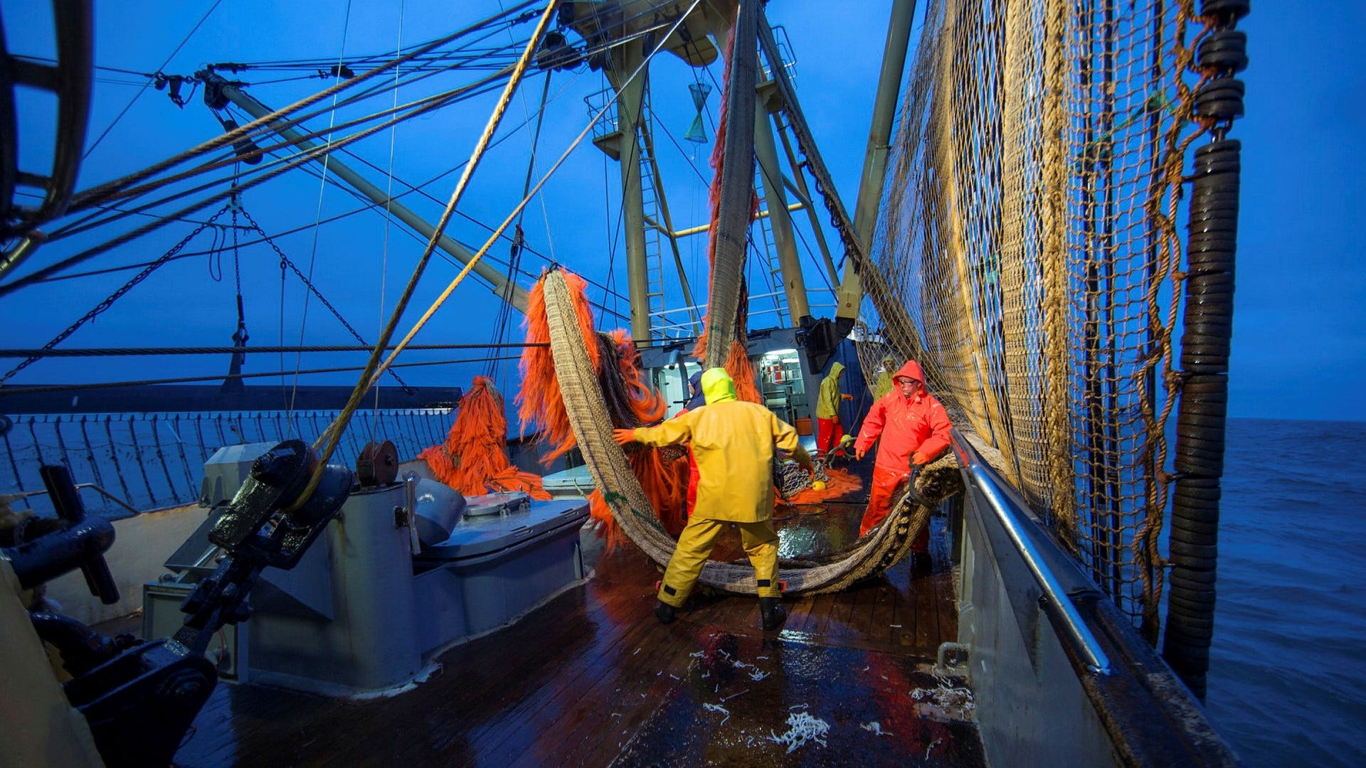Nederländskt trålfartyg som fiskar sjötunga och flundra i Nordsjön.