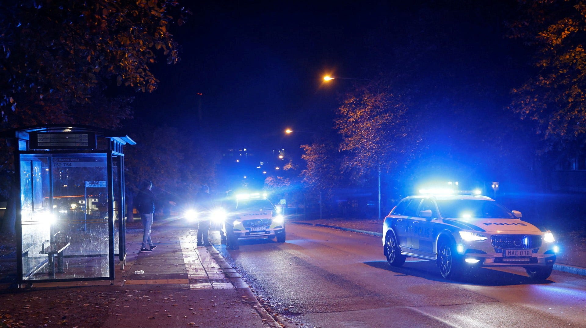 Den 1 oktober sköts en 41-årig man till döds i Ronna. Skjutningen var den tredje i stadsdelen och den fjärde i Södertälje på en vecka.