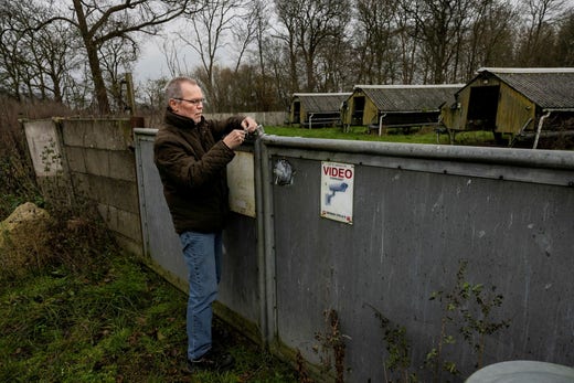 Före coronapandemin var Danmark världens största producent av minkskinn med drygt 1200 gårdar. Sten Holsts gård står numera tom i väntan på att staten ska expropriera verksamheten.