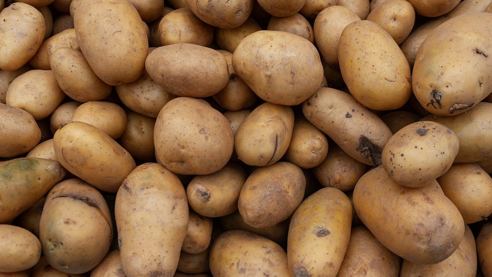 Several tons of potatoes fell on top of 20 people working in a cold store in India. Archive the photo.