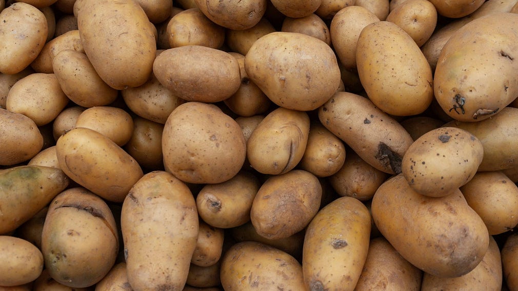 Diverse tonnellate di patate sono cadute addosso a 20 persone che lavoravano in una cella frigorifera in India.  Archivia la foto.