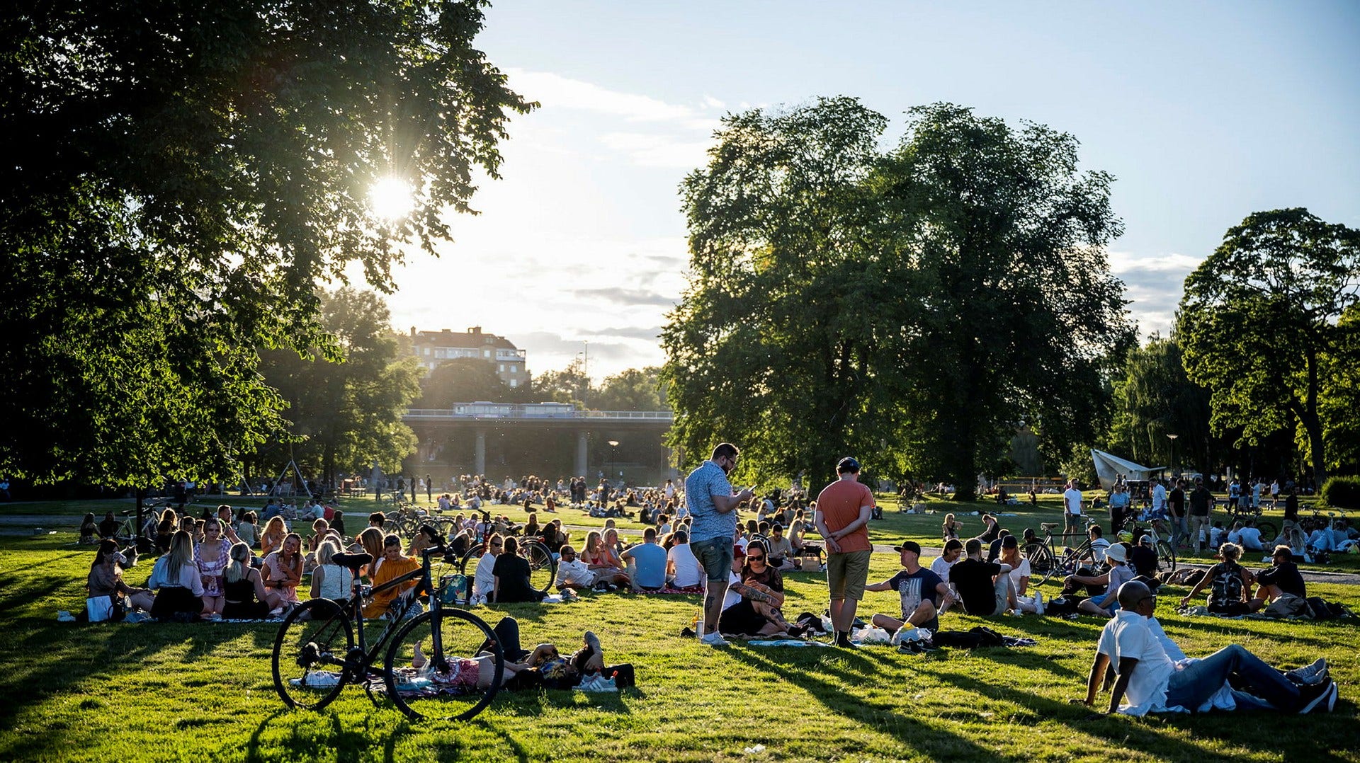 De stora gräsytorna i Rålambshovsparken på Kungsholmen är populära mötesplatser. Ett alternativ för bygge av arbetstunnel innebär att grässlänten norr om Rålambshovsleden intill parken tas i anspråk.