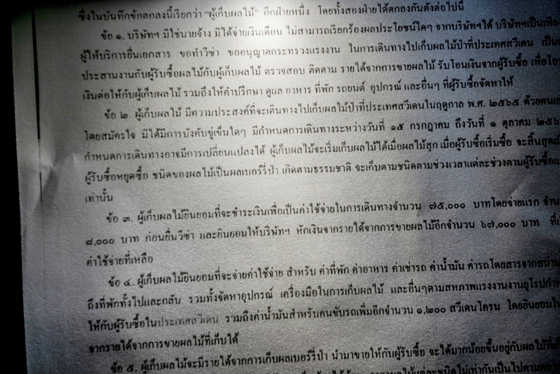 Ett thailändskt kontrakt kräver att bärplockaren plockar en viss mängd bär varje dag och att det inte blir några förmåner, vilket skiljer sig från dokumentet som Migrationsverket får ta del av vid prövningen av arbetstillstånd.