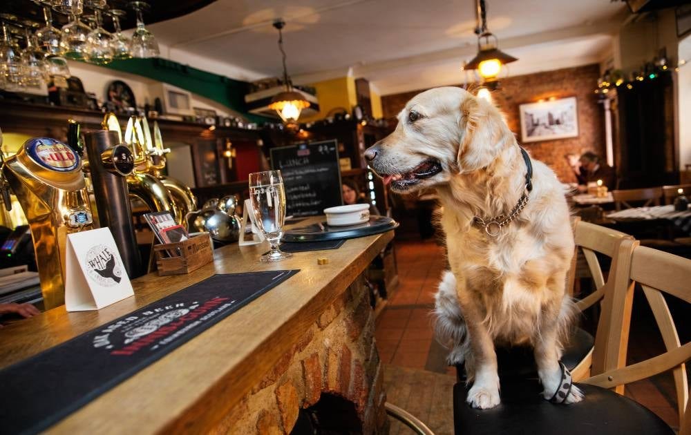 S:ta Clara Bierhaus. En stor vatten och två levergodis, tack! Ella testar barhäng i Gamla stan.