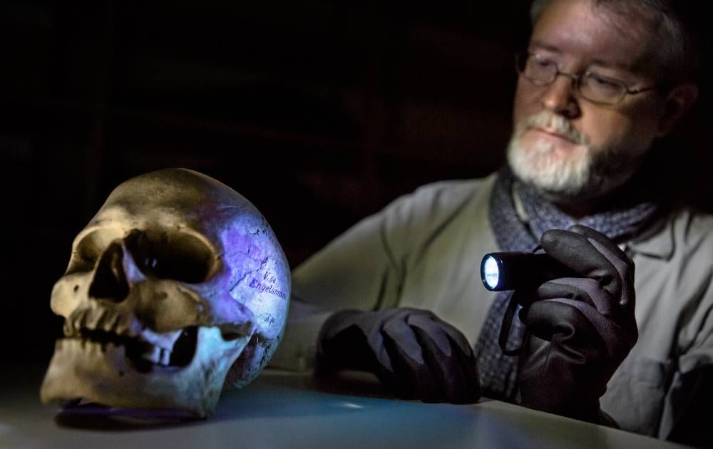 Olof Ljungström, idé- och lärdomshistoriker vid Karolinska institutet, riktar ficklampan mot en skalle märkt ”Engelsman”. Informationen om skallarnas ursprung är ofta bristfällig: allt man vet är det som står skrivet på kraniets tinning.