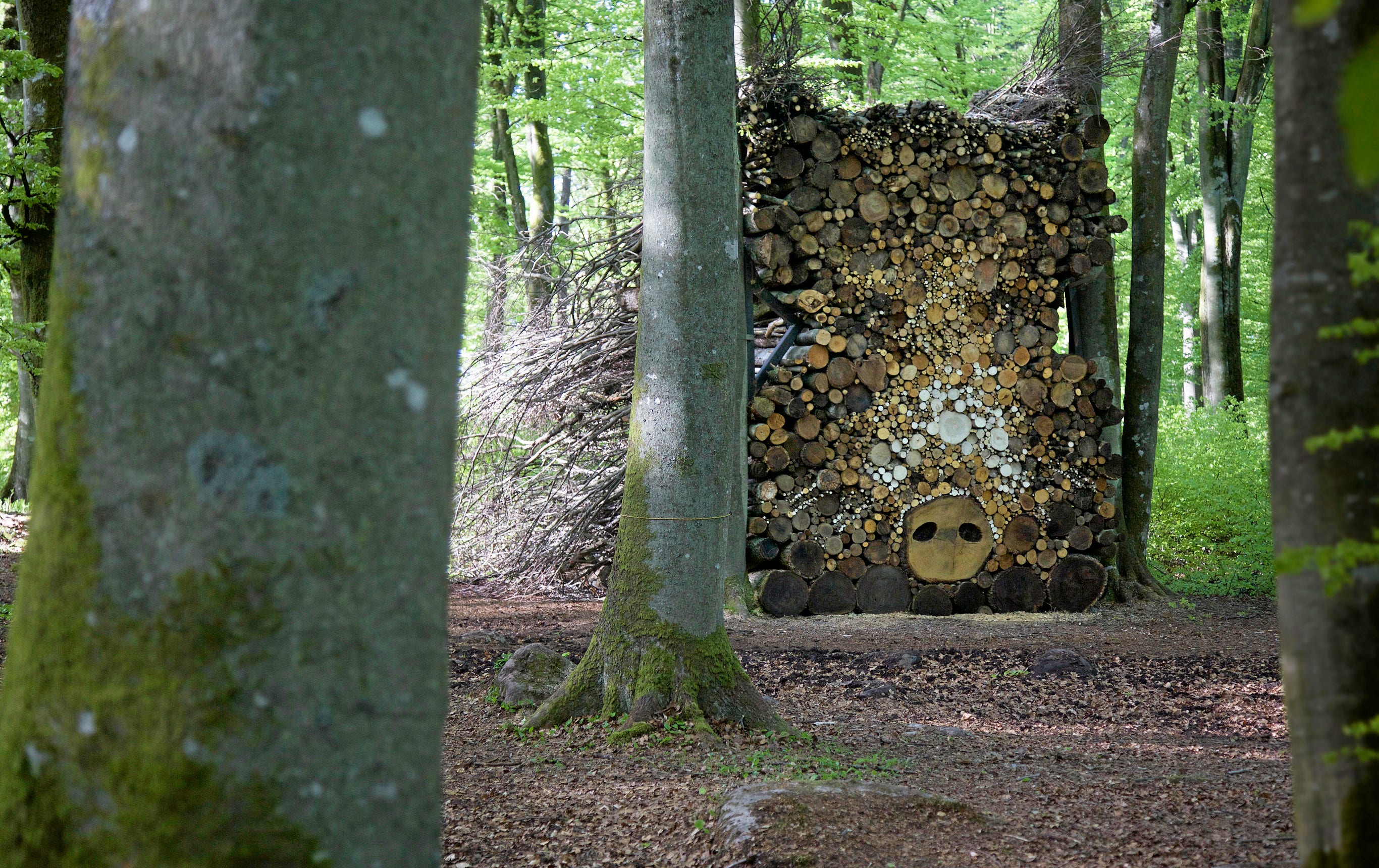 Hannelie Coetzee, ”Ou sog tussen bome” (Gamla suggan mellan träden), 2015.