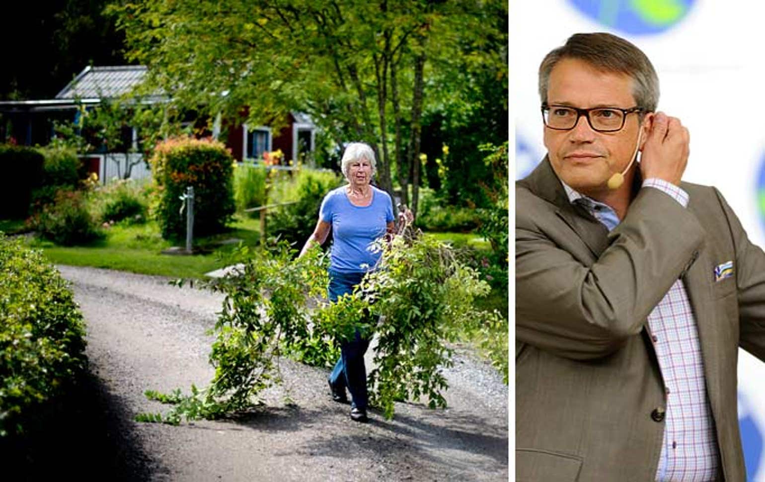 Uppgifter till DN Ingen sänkt pensionärsskatt i höstbudgeten DN.SE