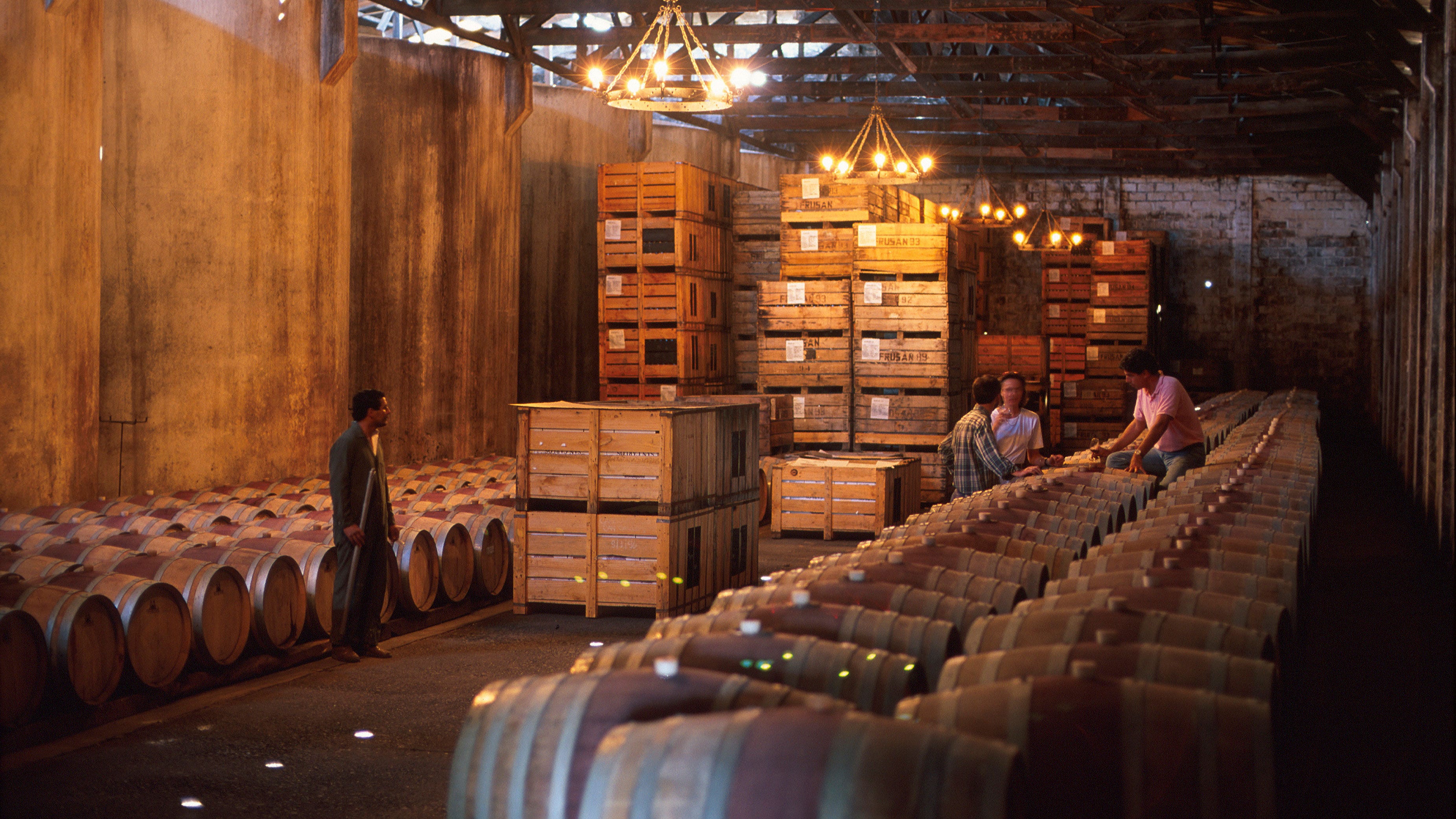 Vintunnor i Chile.