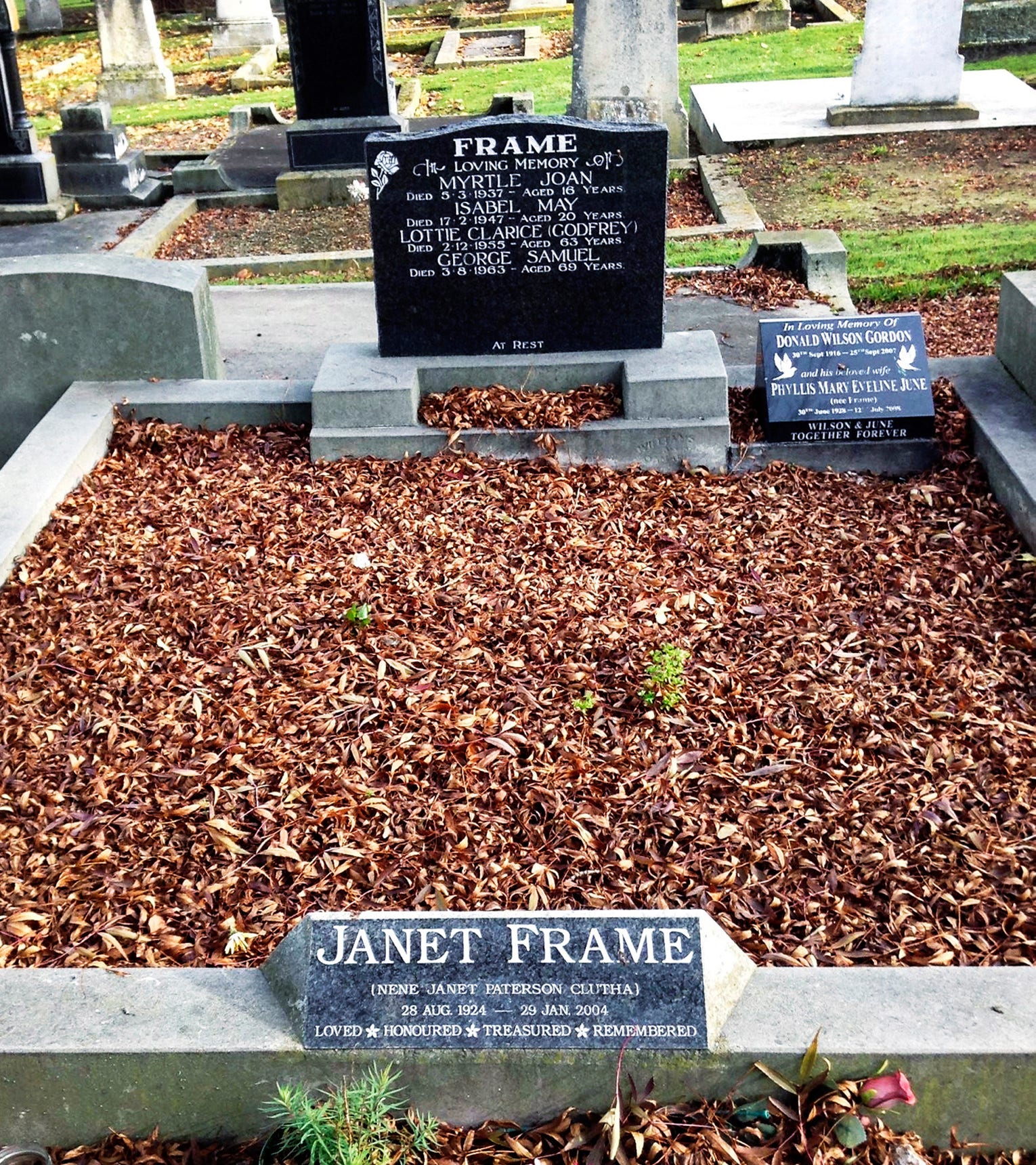 Steve SemSandberg följer i författaren Frames fotspår i Nya