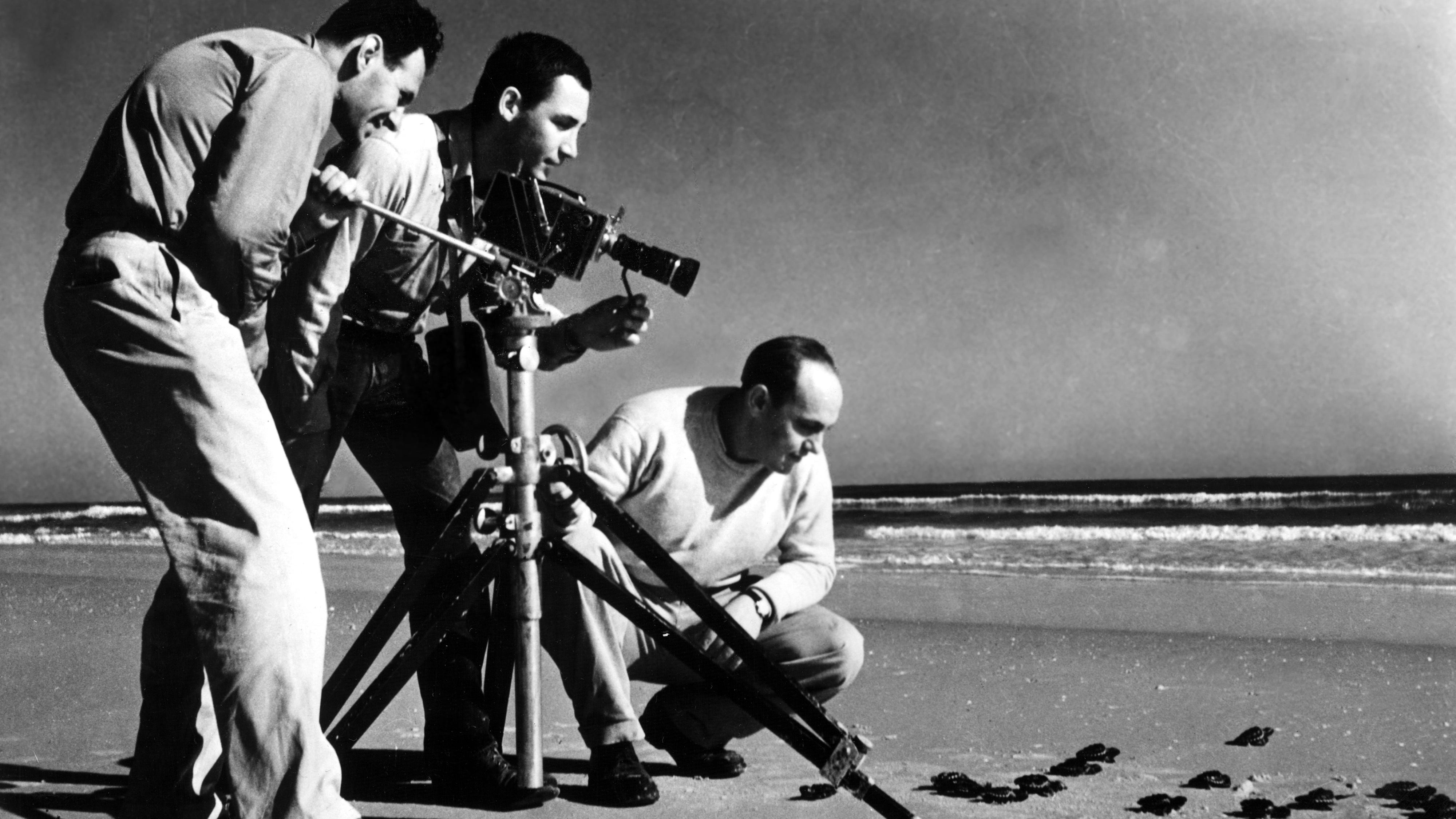 Murray Lerner, Lloyd Ritter, Robert M. Young, 1956