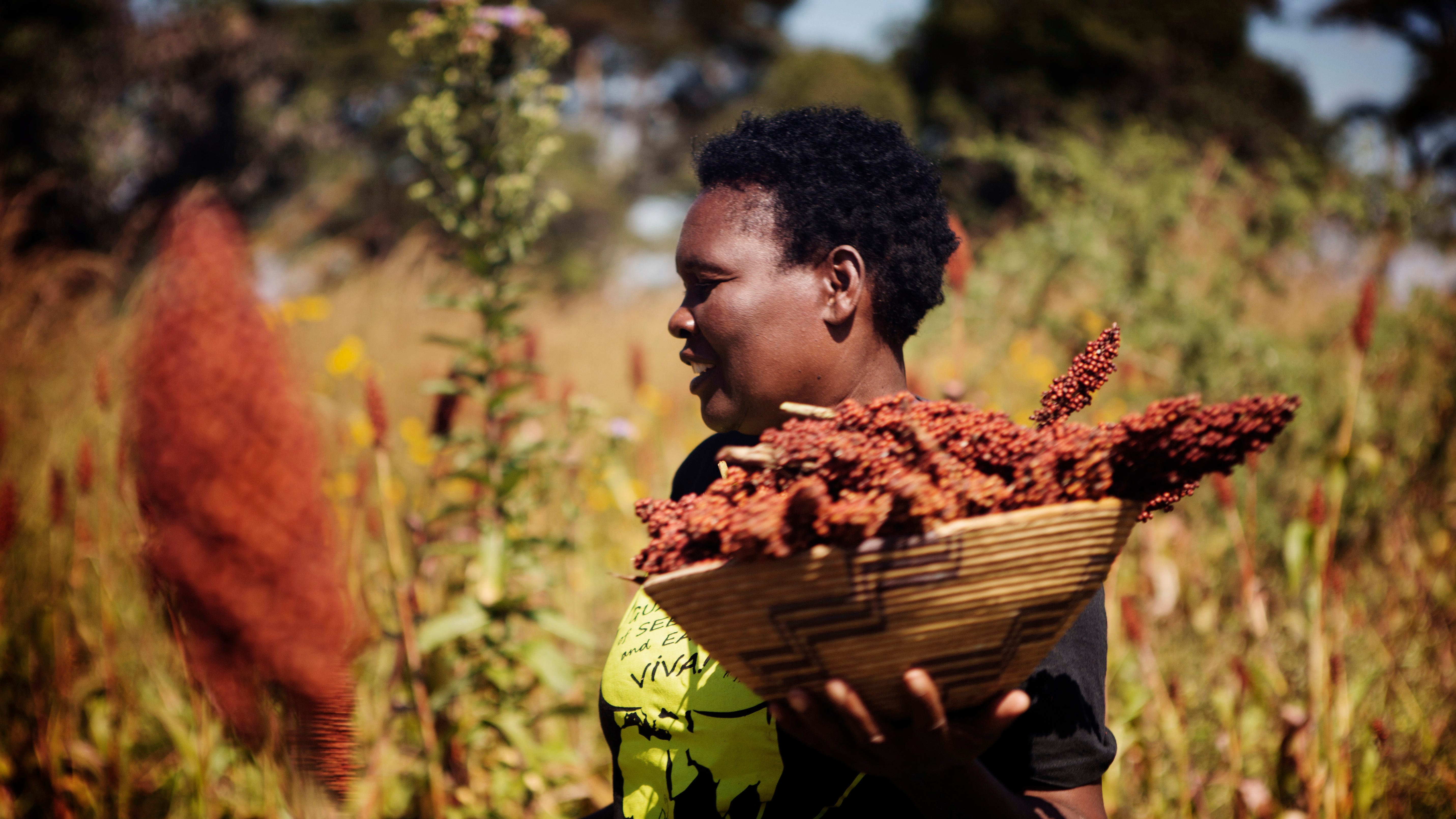 Mary Sakala är ekologisk bonde, fröaktivist och feminist i Zambia.