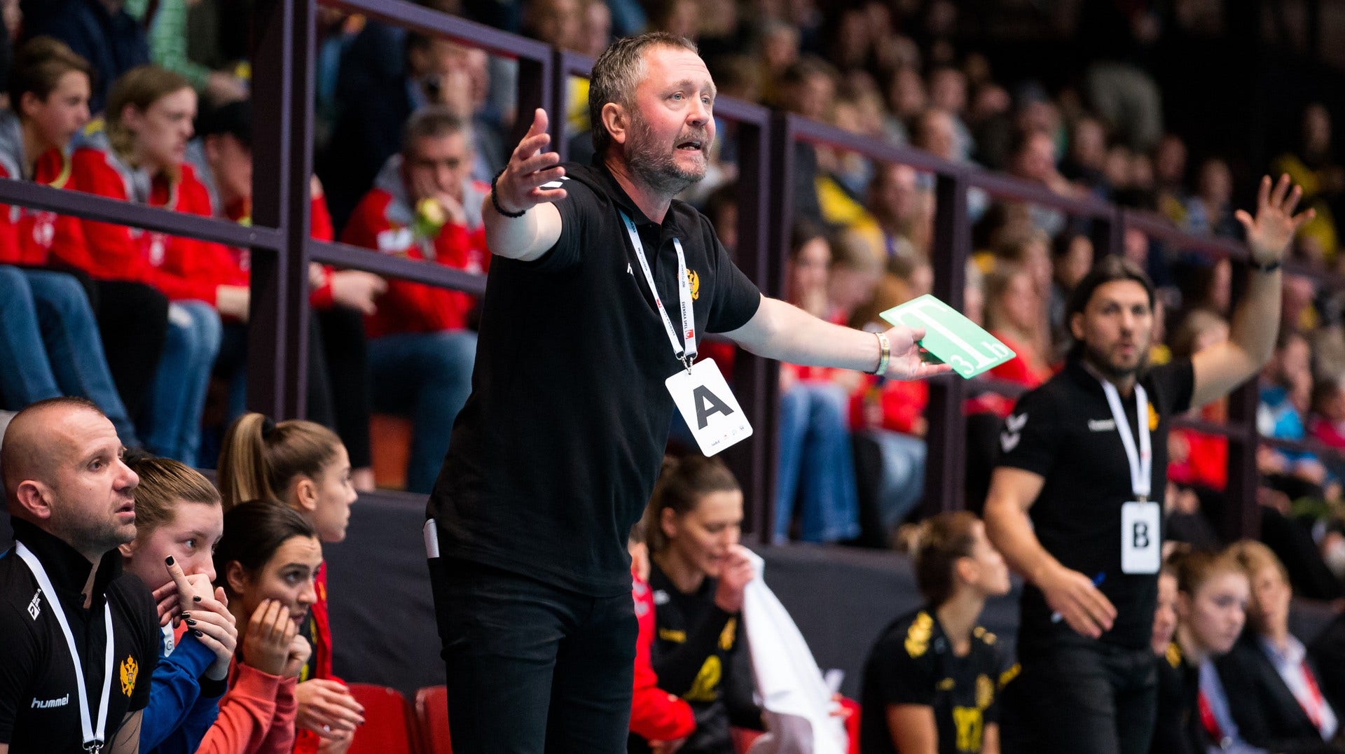 Montenegros förbundskapten Per Johansson