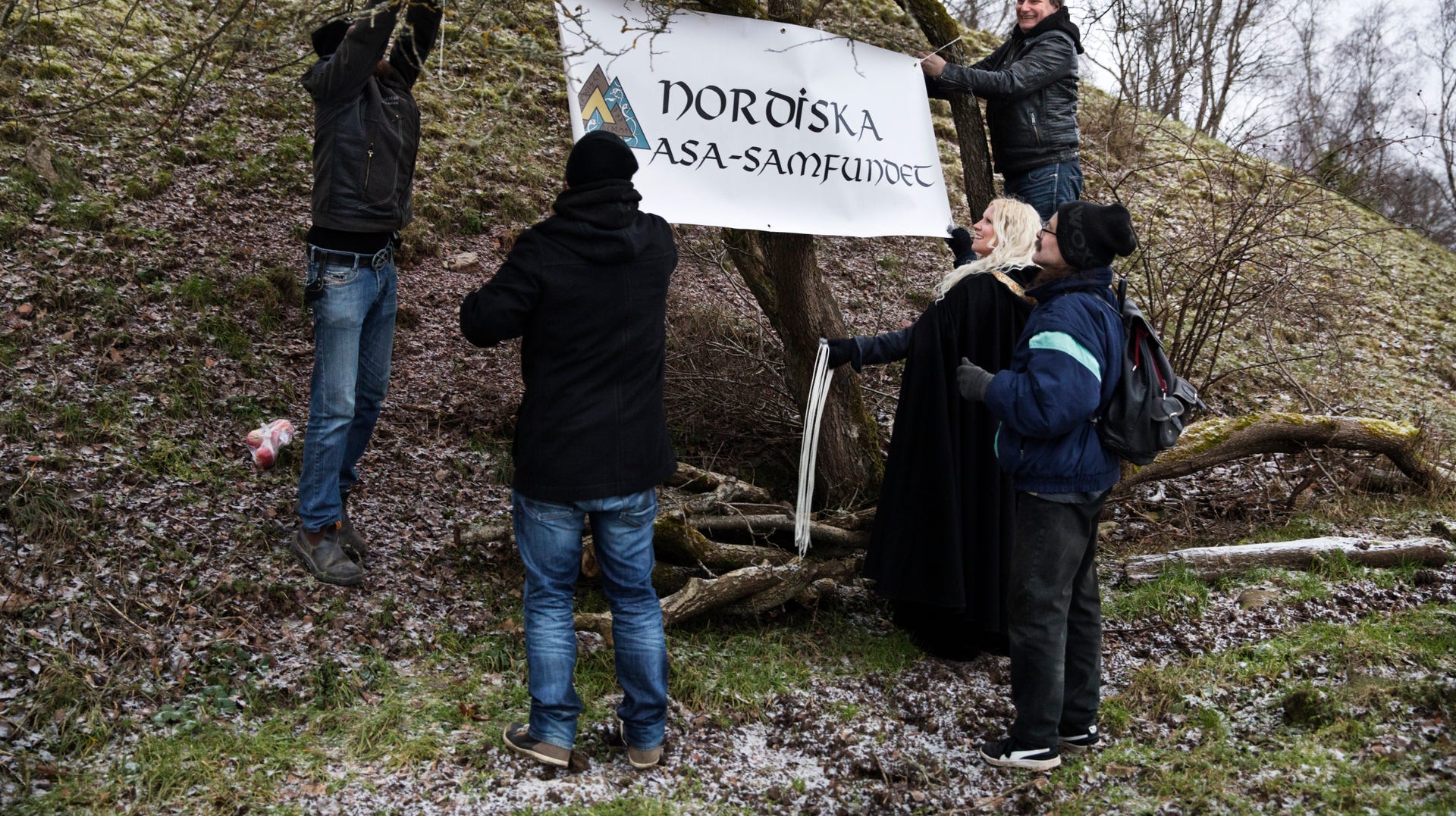 På Nordiska Asasamfundets hemsida skriver man om hur man i framtiden vill se ett asacentrum i varje nordiskt land.