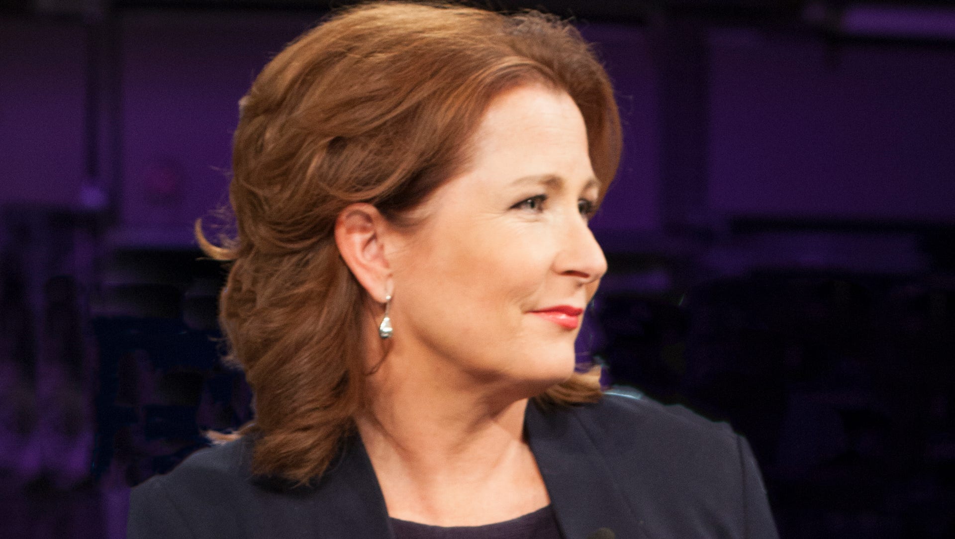 Anna Hedenmo är programledare för ”Agenda” och ”Min sanning” i SVT samt ordförande för Publicistklubben.
