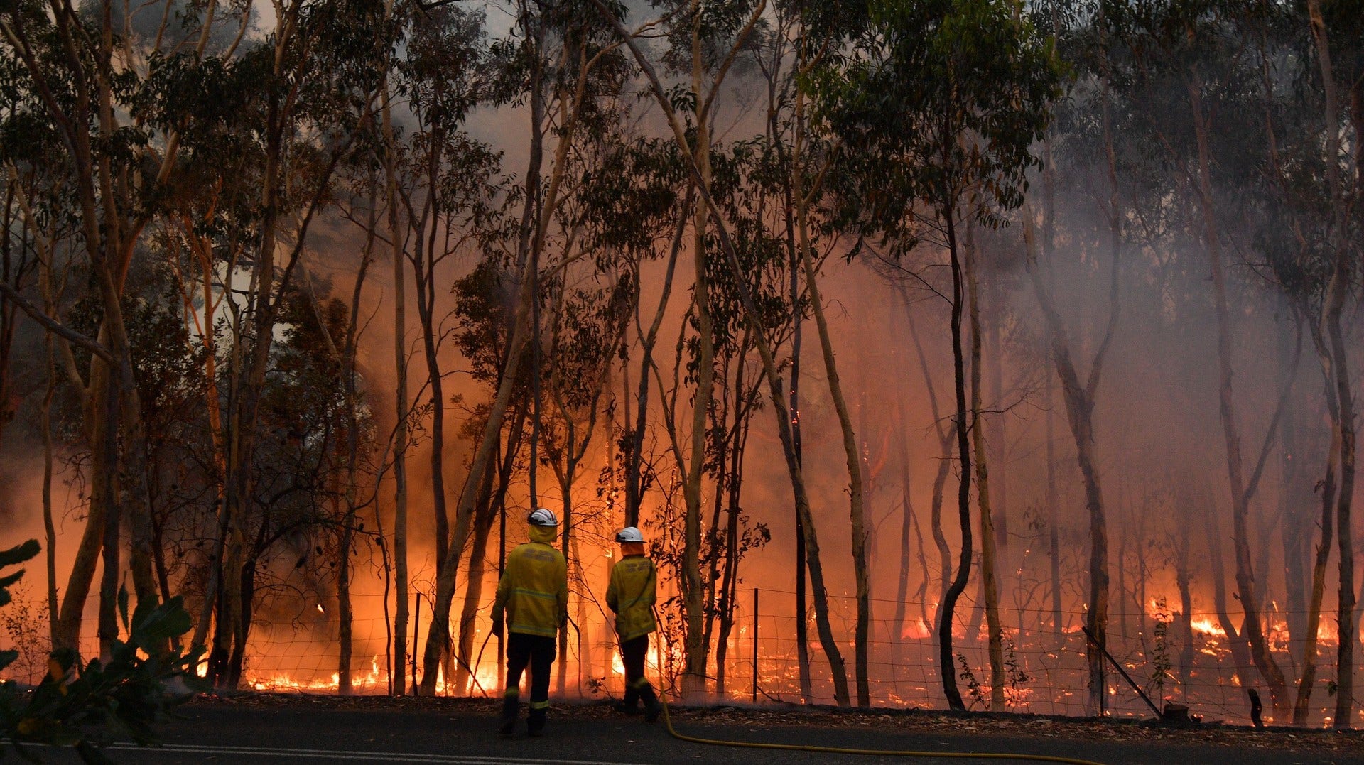 Trots alla bränder är Australien ett av få länder som rest till klimatmötet i Madrid med en extremt konservativ politik. Man gör så lite man kan.