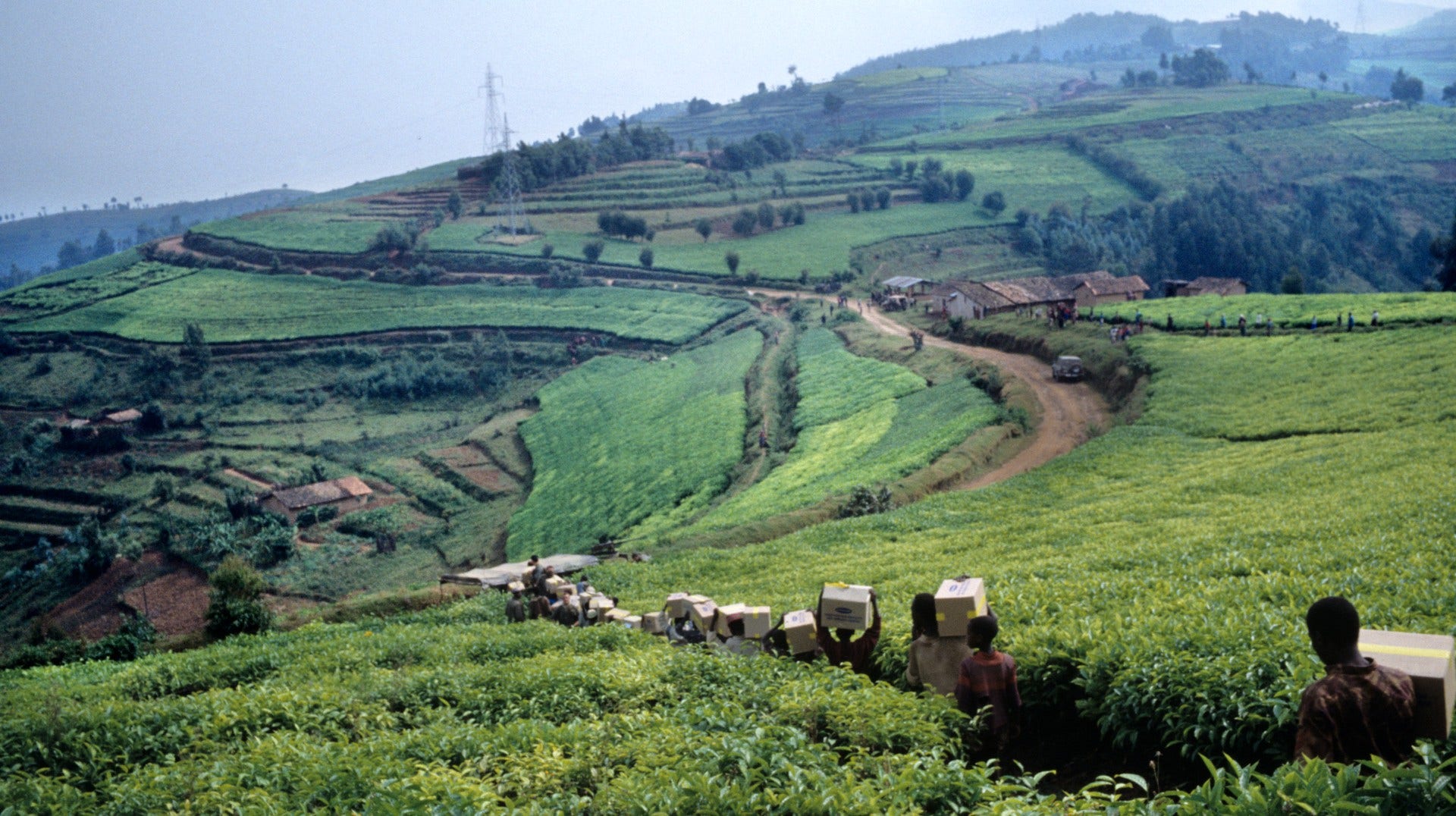 Bisesero – enda kullen­ i ­Rwanda där det fanns ett organiserat motstånd mot det pågående folkmordet 1994. Bilden visar byn efter att franska ­trupper nått fram, i juni 1994. I dag finns här en minnesplats med ett museum.