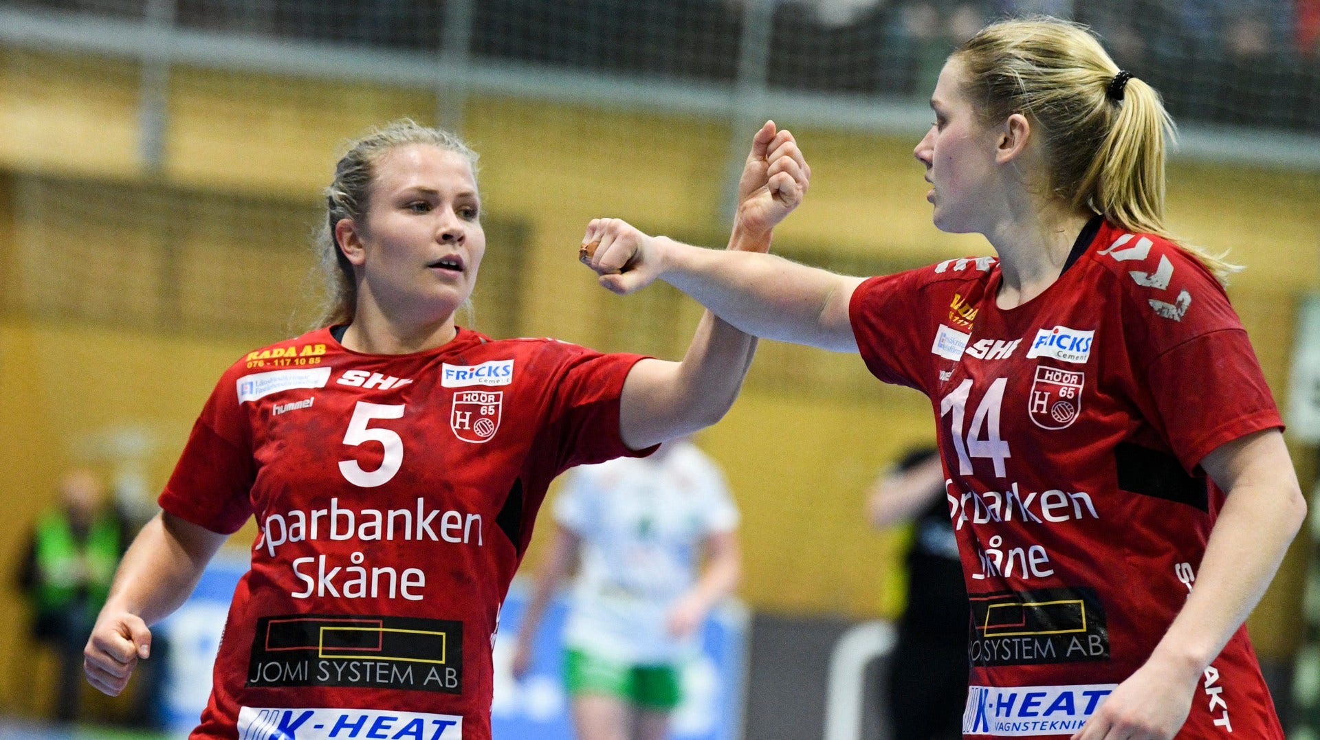 H65 Höör slutade etta i damernas handbollsliga. Arkivbild.