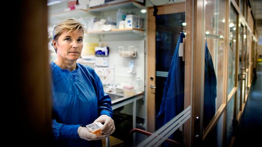 ”Sentinelövervakningen är ett sätt att förstå hur många som egentligen är smittade i samhället” säger Mia Brytting.
