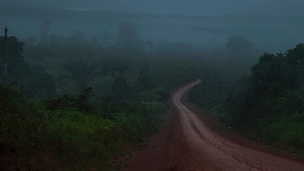 Regnskogen Amazonas i brasilianska Santarém.
