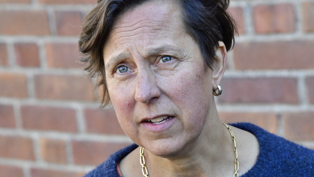 Lisa Brouwers, Folkhälsomyndighetens analyschef.