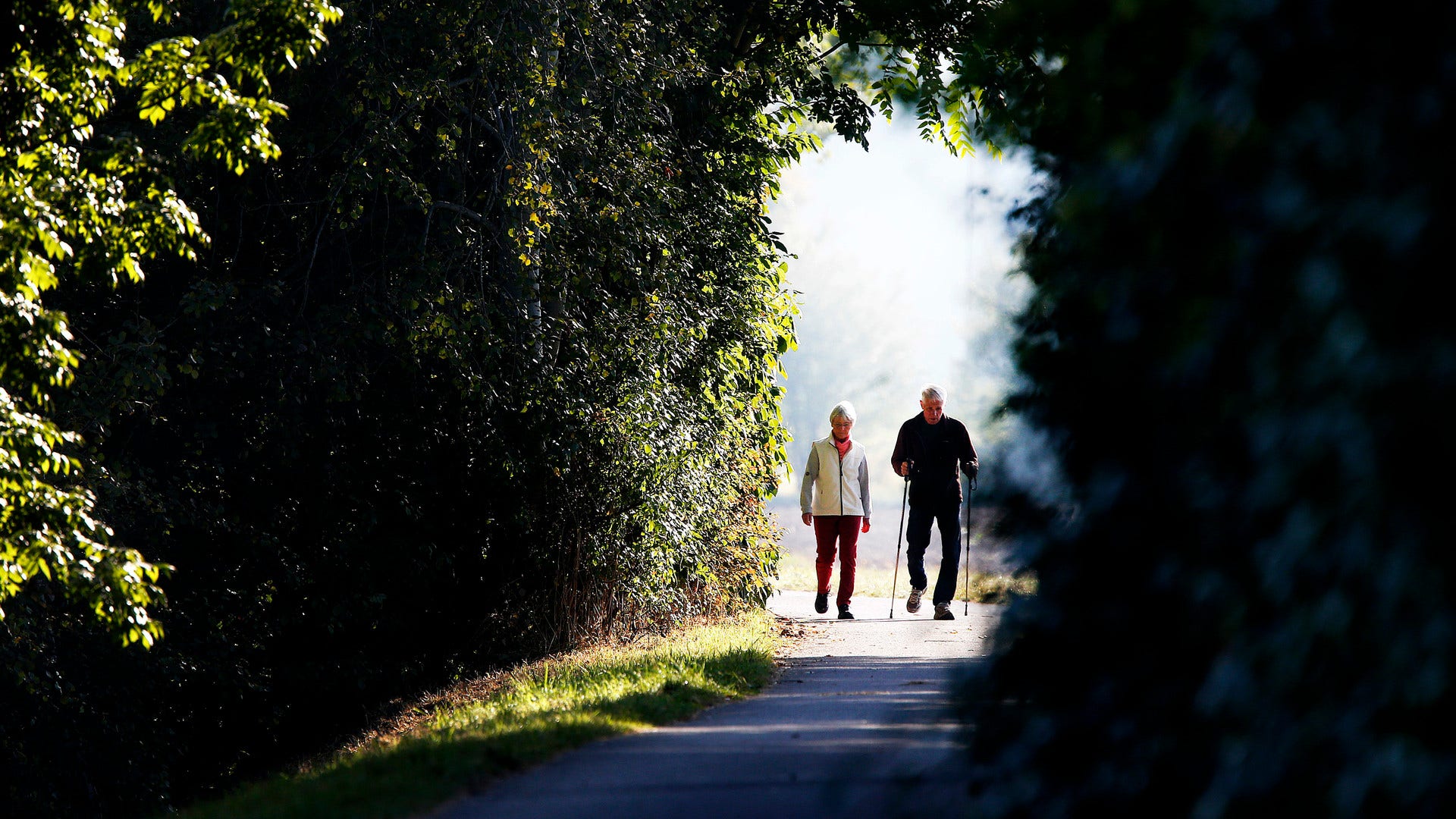 Lite rörelse kan göra stor nytta för personer 60 plus.