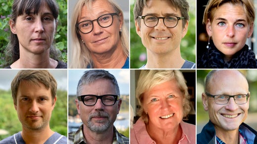 Övre raden: Aylin Yilmaz, Eva Uustal, Tobias Alfvén och Märit Halmin. Nedre raden: Magnus Isacson, Magnus Brink, Karin Pettersson och Stefan James.