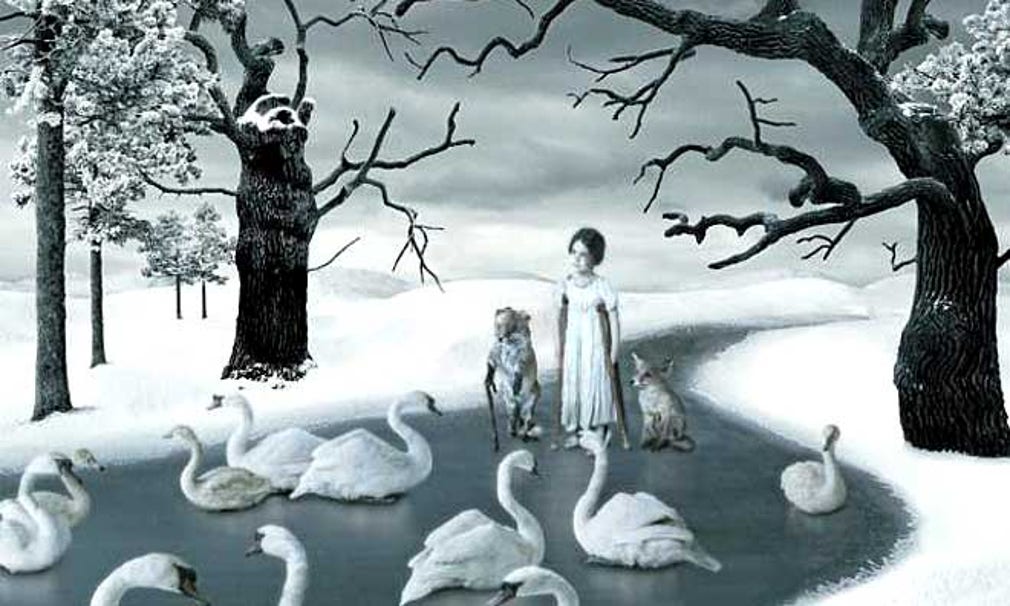 Helena Blomqvists ”Among swans”. Bilden är beskuren.
