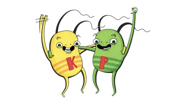 Kompisarna K och P är KP:s maskotar sedan 2015.