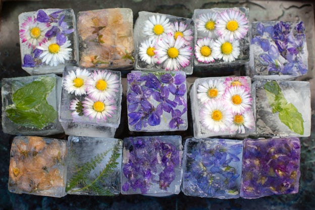 En del blommor är inte bara vackra – de går att äta också.