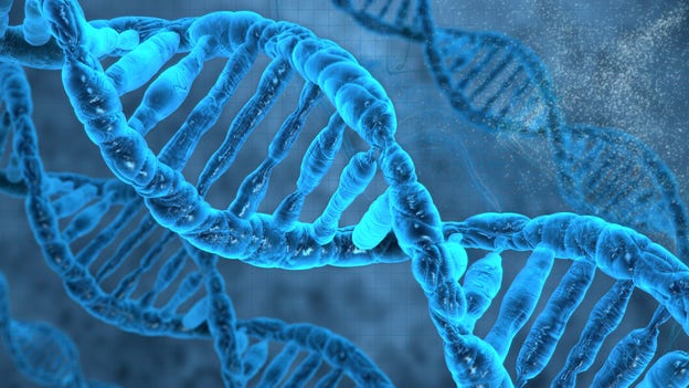 I starka mikroskop ser man dna som långa (men pyttesmå) spiraler.