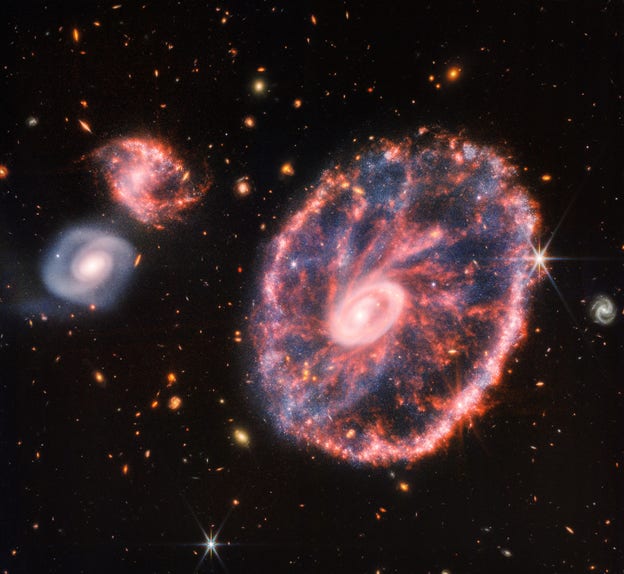 Spiraler, skivor och hjul – det finns många olika typer av galaxer.
