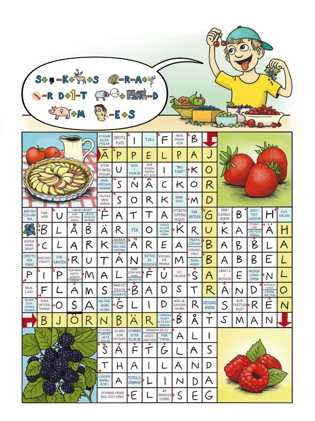 Kryssfacit KP 13.