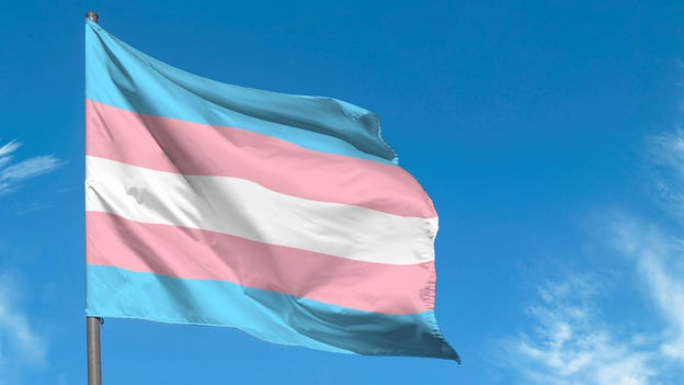 Denna flagga är en symbol för trans-personer.