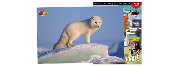 Fjällräven som önskebild i KP 2, 2021.