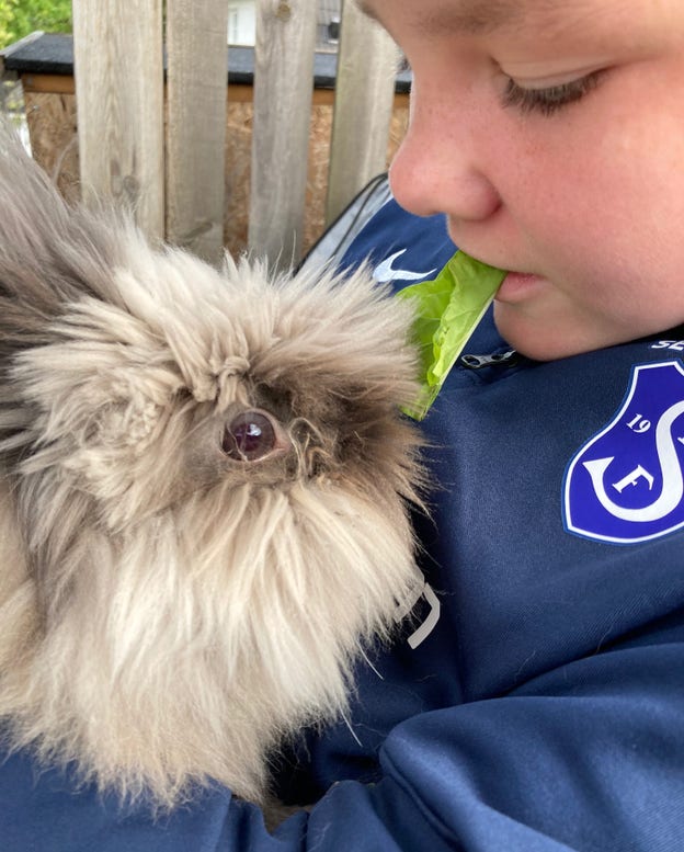 Annie och Urax