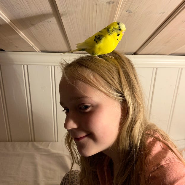 Bianca och Jake