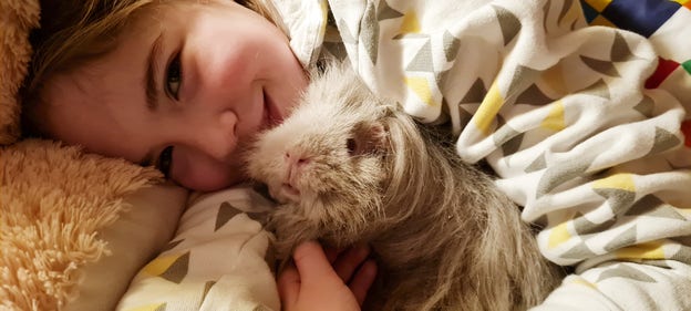 Tova och Semlan