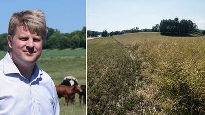 Efter katastrofsommaren: Svenskarna som tar hem mest av EU-miljarderna