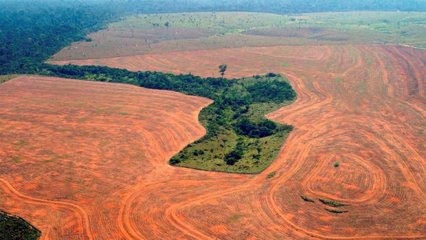 Genom analysen går det också att få bevis för att en leverantör till exempel avverkar skog i strid med överenskommelser. På bilden avverkad regnskog i Amazonas.
