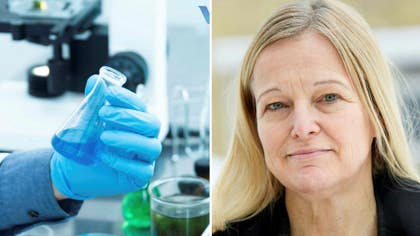 Janet Hoogstraate, Sverigechef Valneva