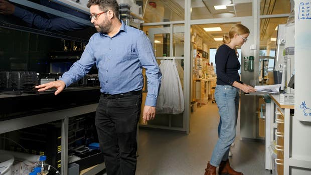 Karim Engelmark Cassimjee, vd på Enginzyme, och Annette Egerström, forskningsassistent som förbereder ett experiment.