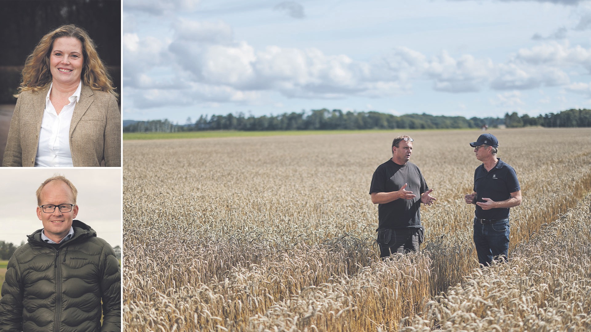 Lantmännen och Yara samarbetar för en mer hållbar odling.