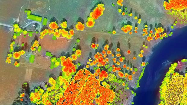 Data från Skogsdatalabbets fjärranalys som använts för att visuellt visa trädens höjd