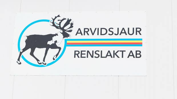 Arvidsjaur renslakt har på grund av pandemin fått komma på nya idéer till sin verksamhet. En av idéerna är att sälja sina produkter via en glassbil, något som har kommit till att bli populärt.
