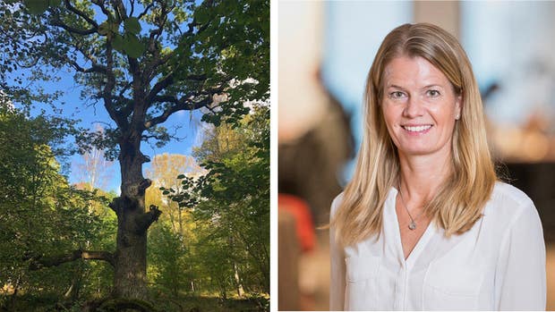 ”Det kändes fantastiskt roligt att få bidra till något som lever i över 600 år” säger Inge-Lise Eng.